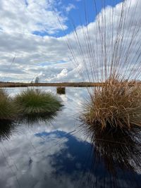 &quot;Natur - Spiegel&quot;