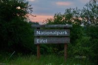Nationalpark Eifel (Im Abendlichem Licht)