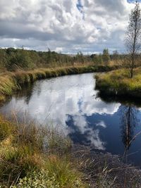 &quot;Natur - Spiegel&quot;